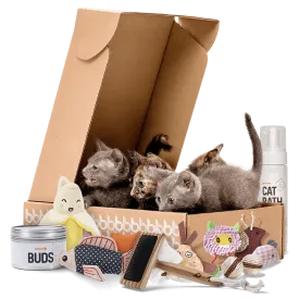 Cat Bundle