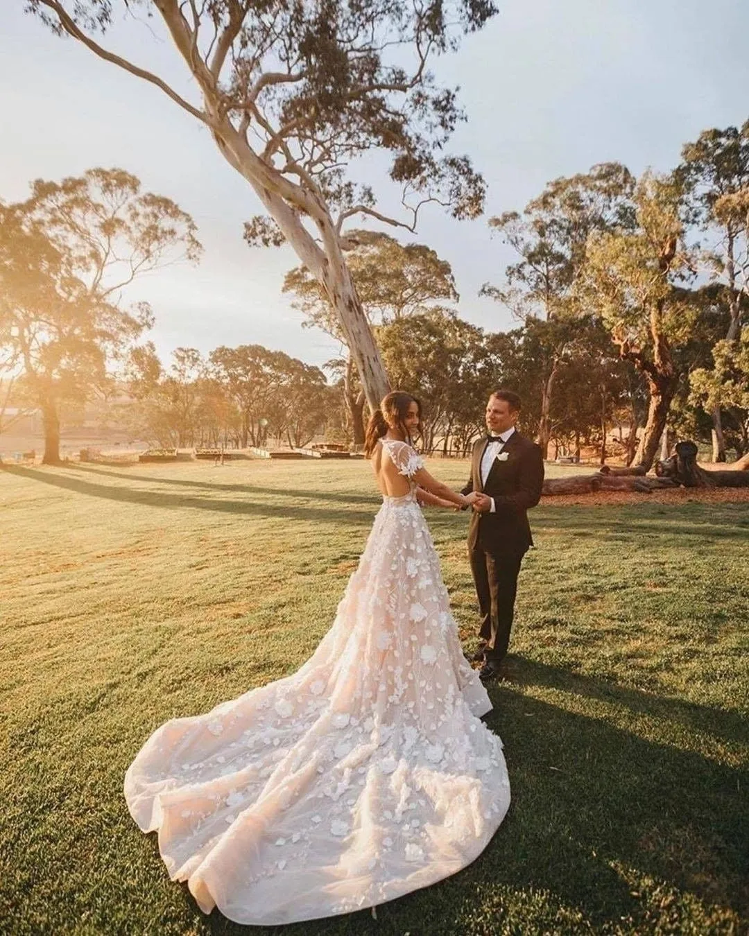 Fairy Ball Gown V Neck Tulle Wedding Dresses with 3D Lace VK23052203