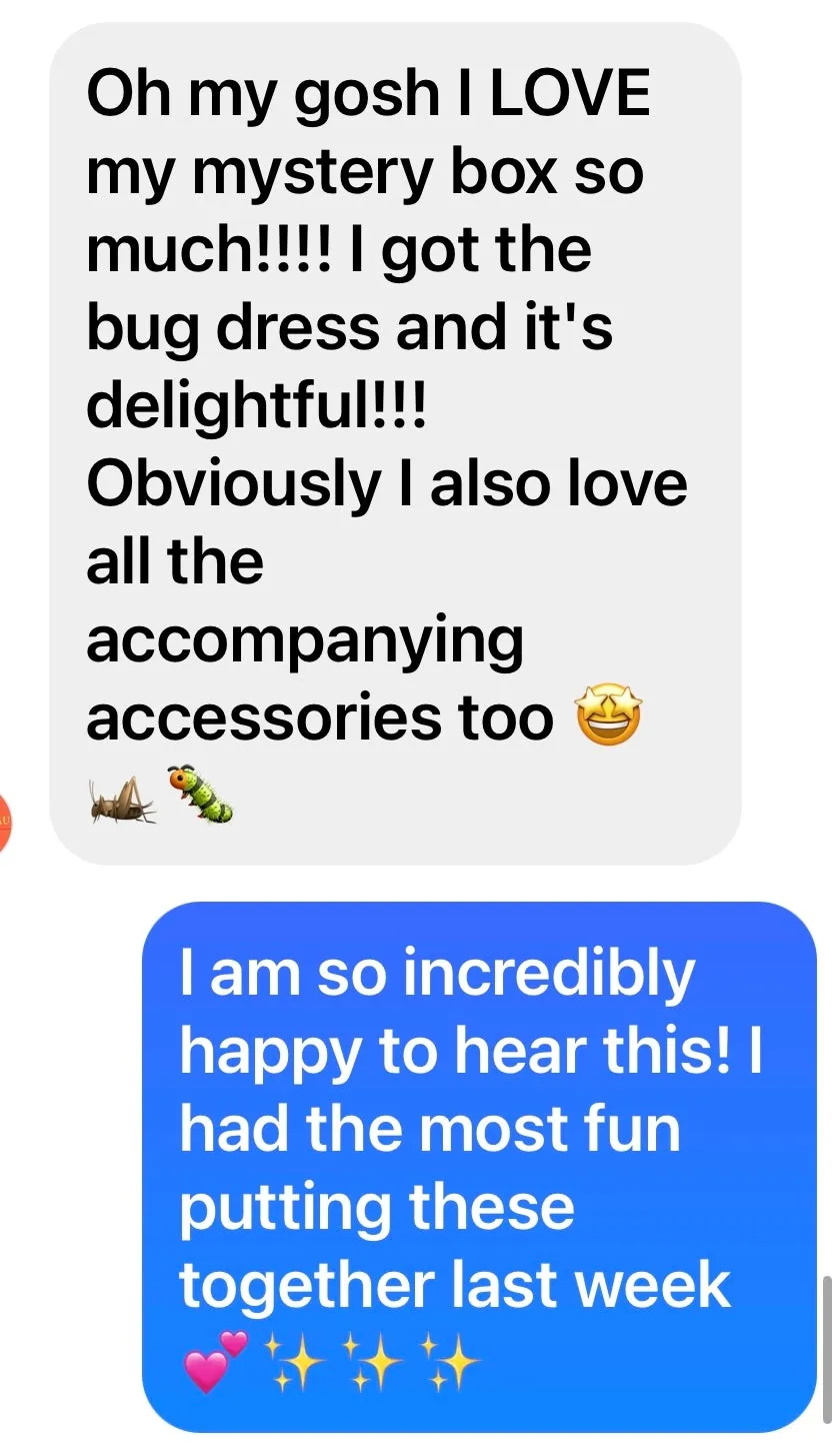 MYSTERY DRESS & ACCESSORY BOX